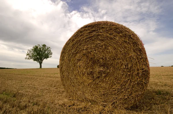 The straw bale — Stock Photo, Image