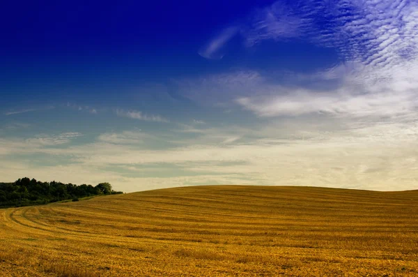 De velden na de oogst — Stockfoto