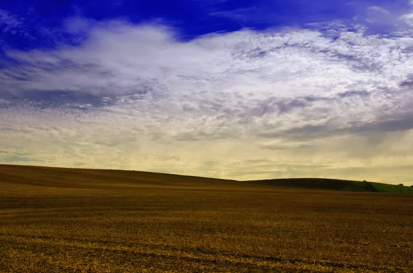 Пшеничные поля после сбора урожая — стоковое фото