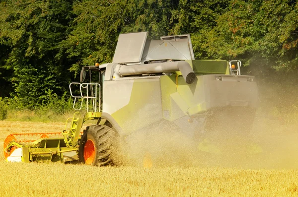 The combine harvester reaps the corn — Stock Photo, Image