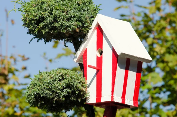 Kırmızı ve beyaz renkli kuş ev — Stok fotoğraf