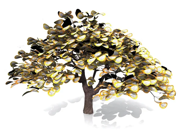 The tree of coins of one euro — Stock Photo, Image