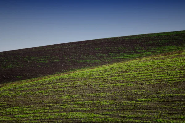 Die Felder und Hügel — Stockfoto
