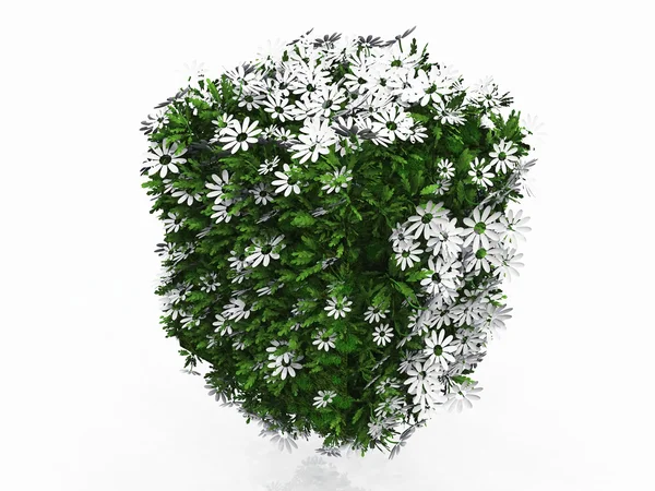 Кубик квітів і трави — стокове фото