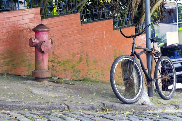 stock image Old Bicycle