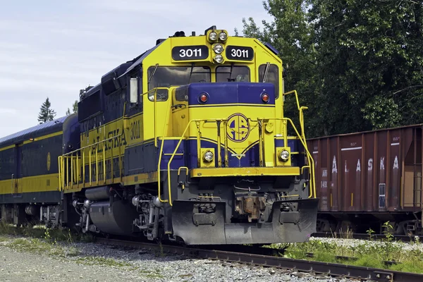 stock image Train in Alaska