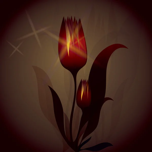 Fiery Tulip brille — Image vectorielle