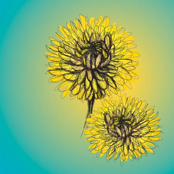 Kadife çiçeği — Stok Vektör