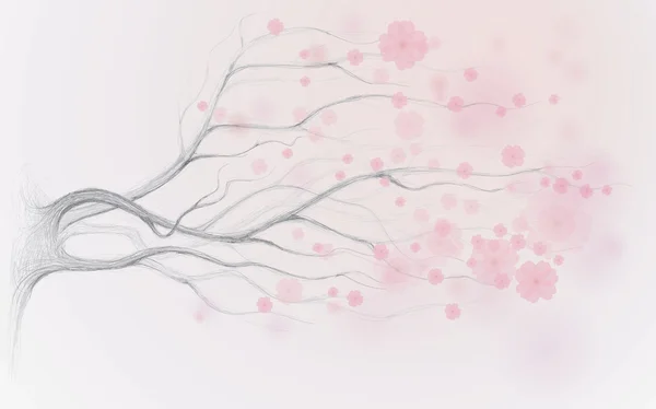 일본 벚꽃 — 스톡 벡터