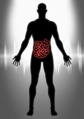 Gastroenterology clipart