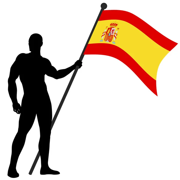 Флаг носителя — стоковый вектор