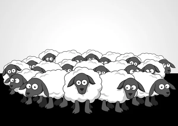Flock Of Sheeps — Stock Vector