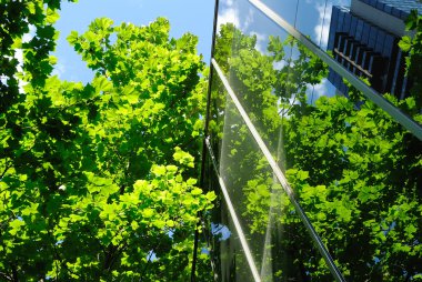 Glass office building with green reflections clipart