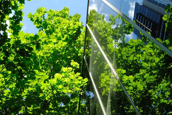 stock image Glass office building with green reflections