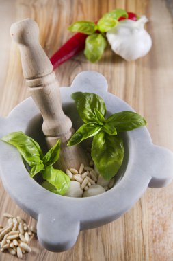 Yeşil pesto