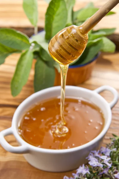 Wildflower honey — Stock Photo, Image