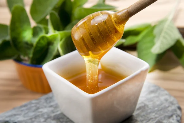 Wildflower honey — Stock Photo, Image