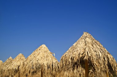 bir tatil köyünde şemsiye