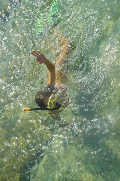 오리발과 고글 수영 — 스톡 사진