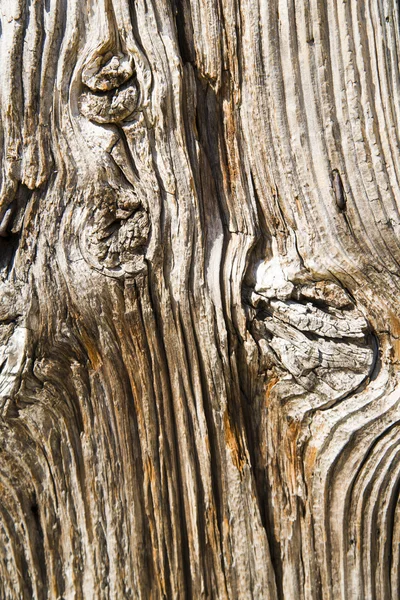A background of wood — Stock Photo, Image