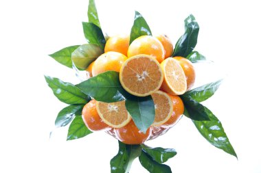 Orange clipart