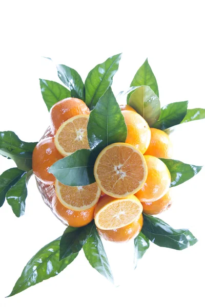 Pomeranč — Stock fotografie