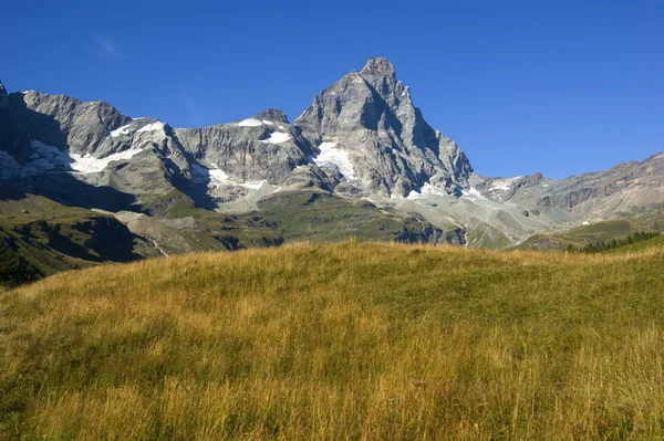 Alpy matterhorn — Zdjęcie stockowe