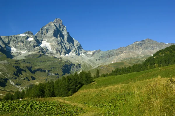 Alpes Cervin — Photo