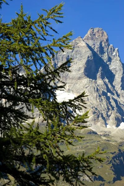 Italian Alps Mont Blanc — Stock Photo, Image