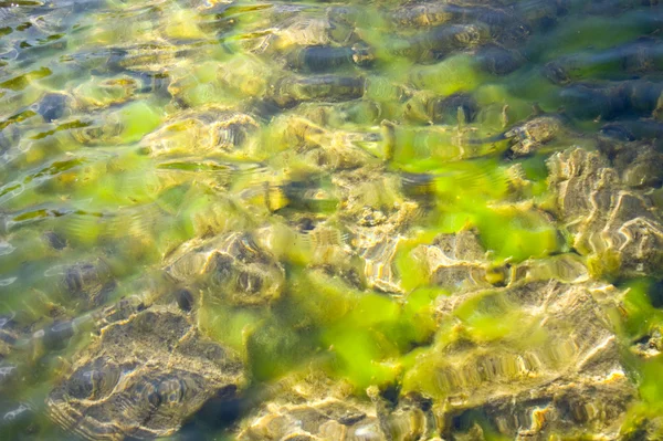 stock image The colors of water