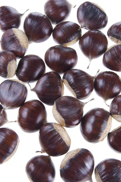 stock image Chestnut