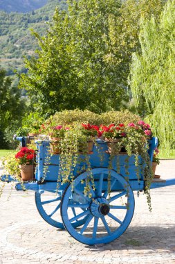 Valle d'Aosta İtalya çiçeklenir