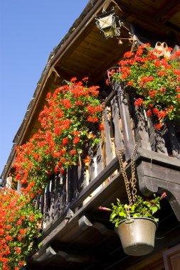 Valle d'Aosta İtalya çiçeklenir