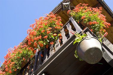 Valle d'Aosta İtalya çiçeklenir