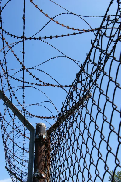 Perimeter protected with barbed wire — Stock Photo, Image