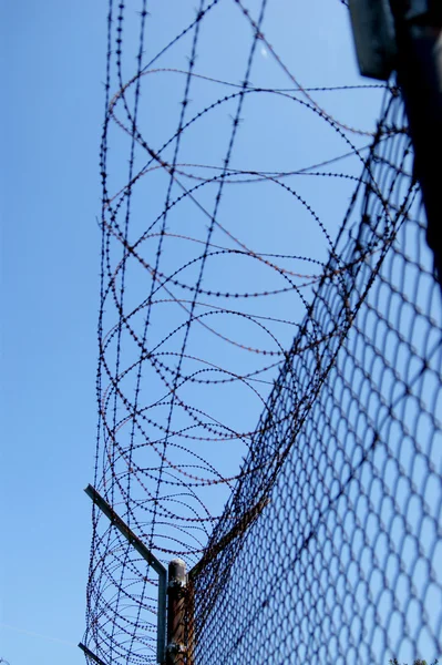 Perimeter protected with barbed wire — Stock Photo, Image