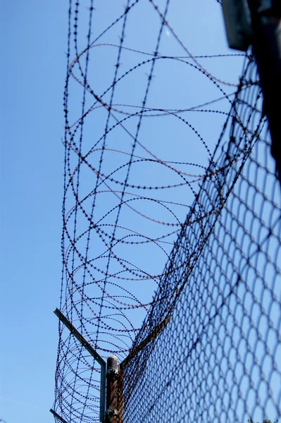 stock image Perimeter protected with barbed wire