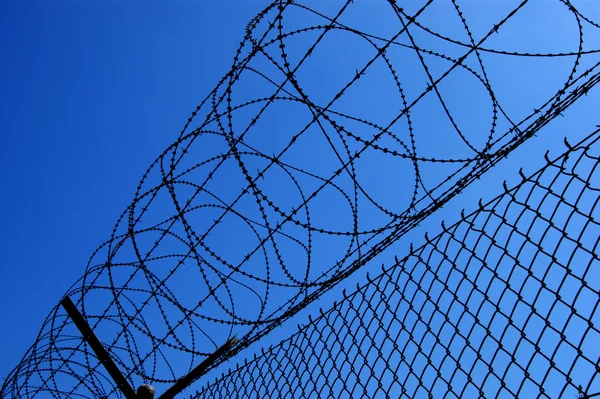 Perimeter protected with barbed wire Stock Image
