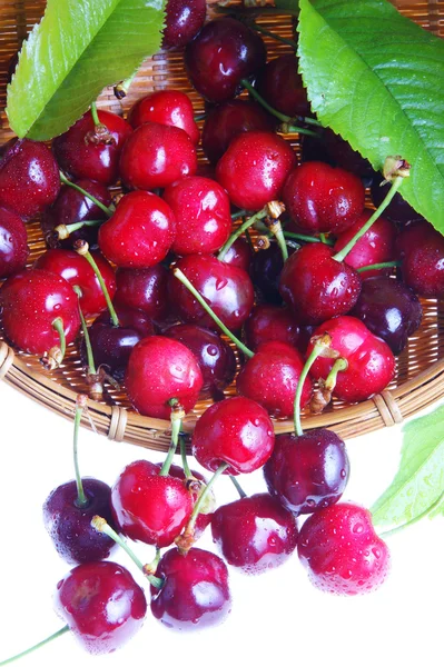 stock image Cherry