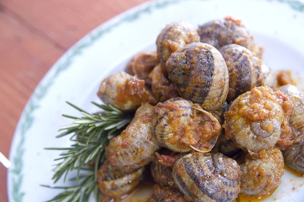 Stock image Tasty snails