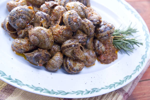 Stock image Tasty snails