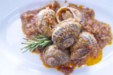 Lezzetli salyangozlar