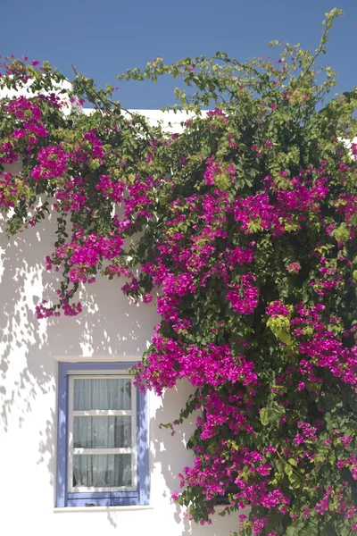 stock image Greece, architectural details