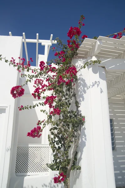 stock image Greece, architectural details