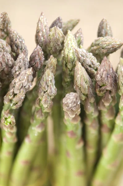 Bunch of fresh asparagus — Stock Photo, Image