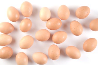 Beyaz arkaplanda yumurtalar
