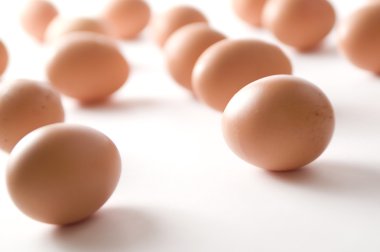 Beyaz arkaplanda yumurtalar