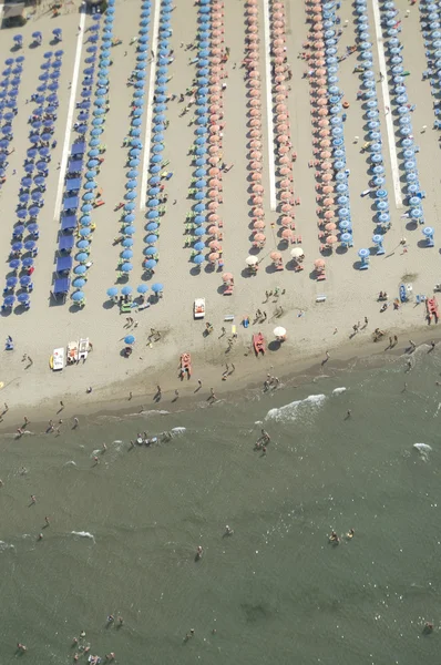 Di pantai di musim panas — Stok Foto