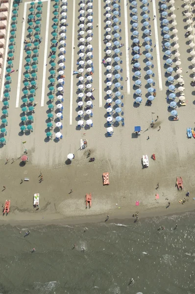 Stock image on the beach in summer