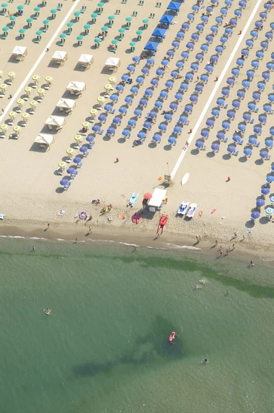 stock image on the beach in summer